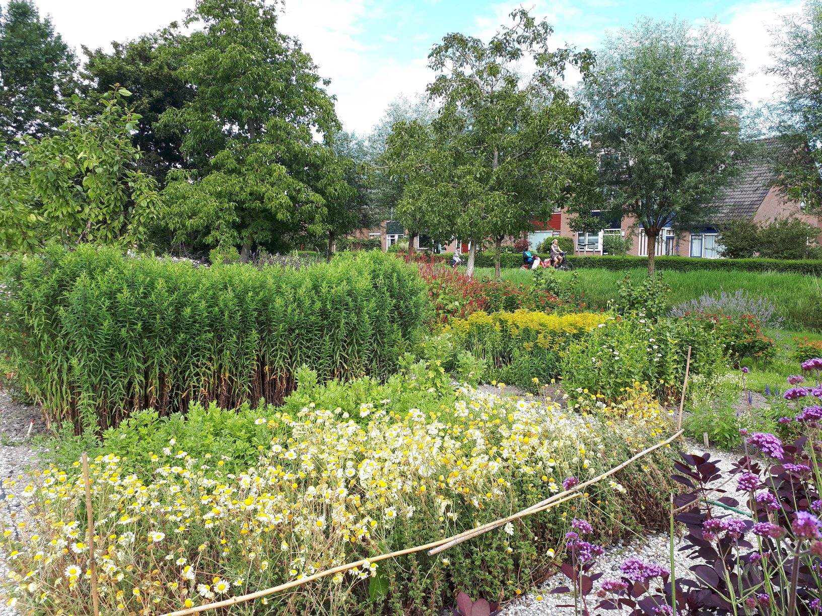 Dulce Tierra Zoetermeer