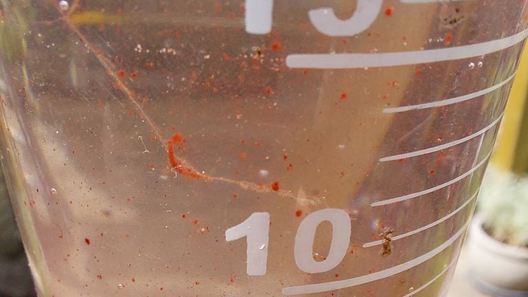 El contenido de un vaso medidor de plástico (foto; Ine Houtkamp).