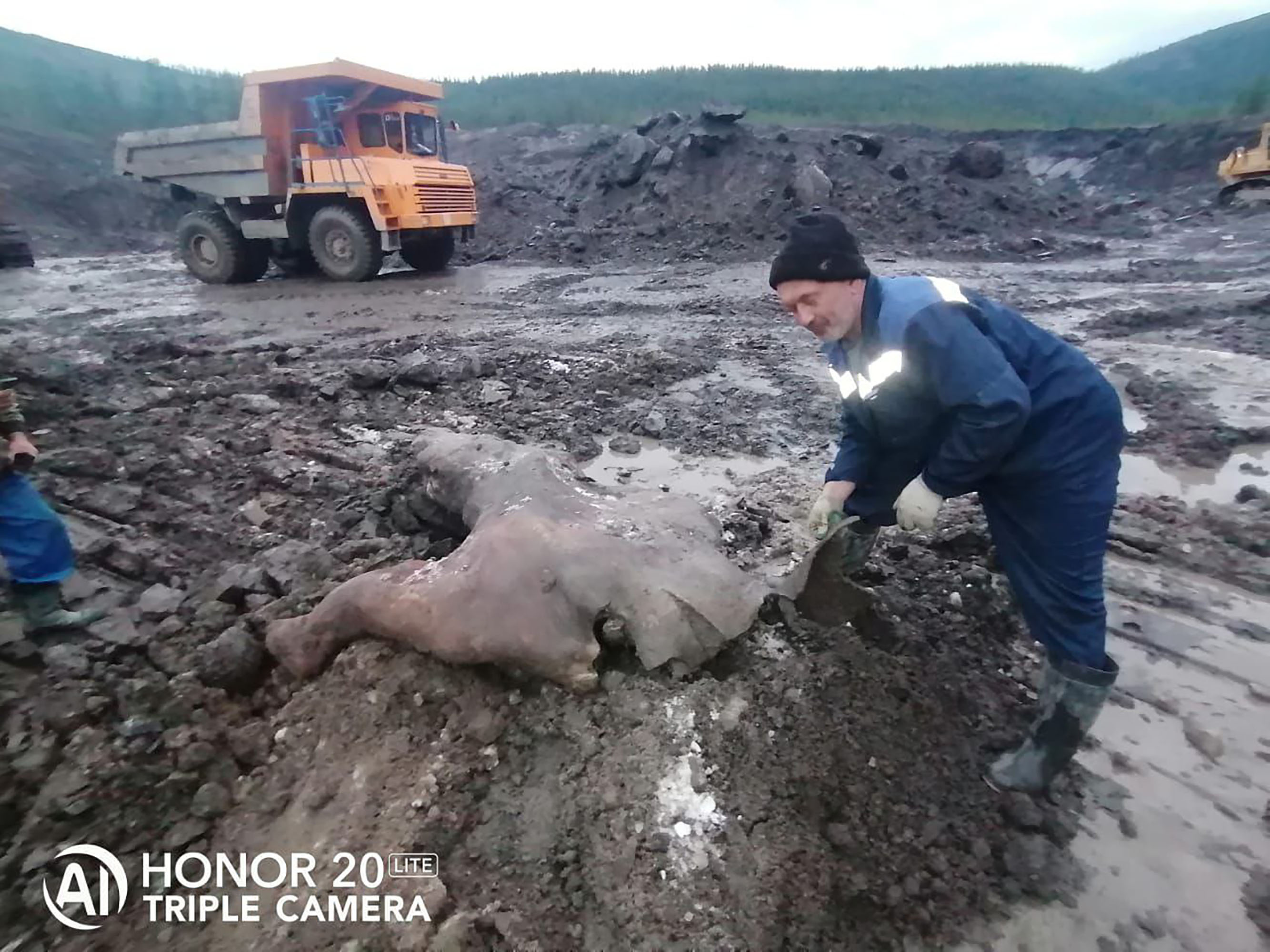 Los trabajadores estaban cavando en busca de oro cuando hicieron el descubrimiento.