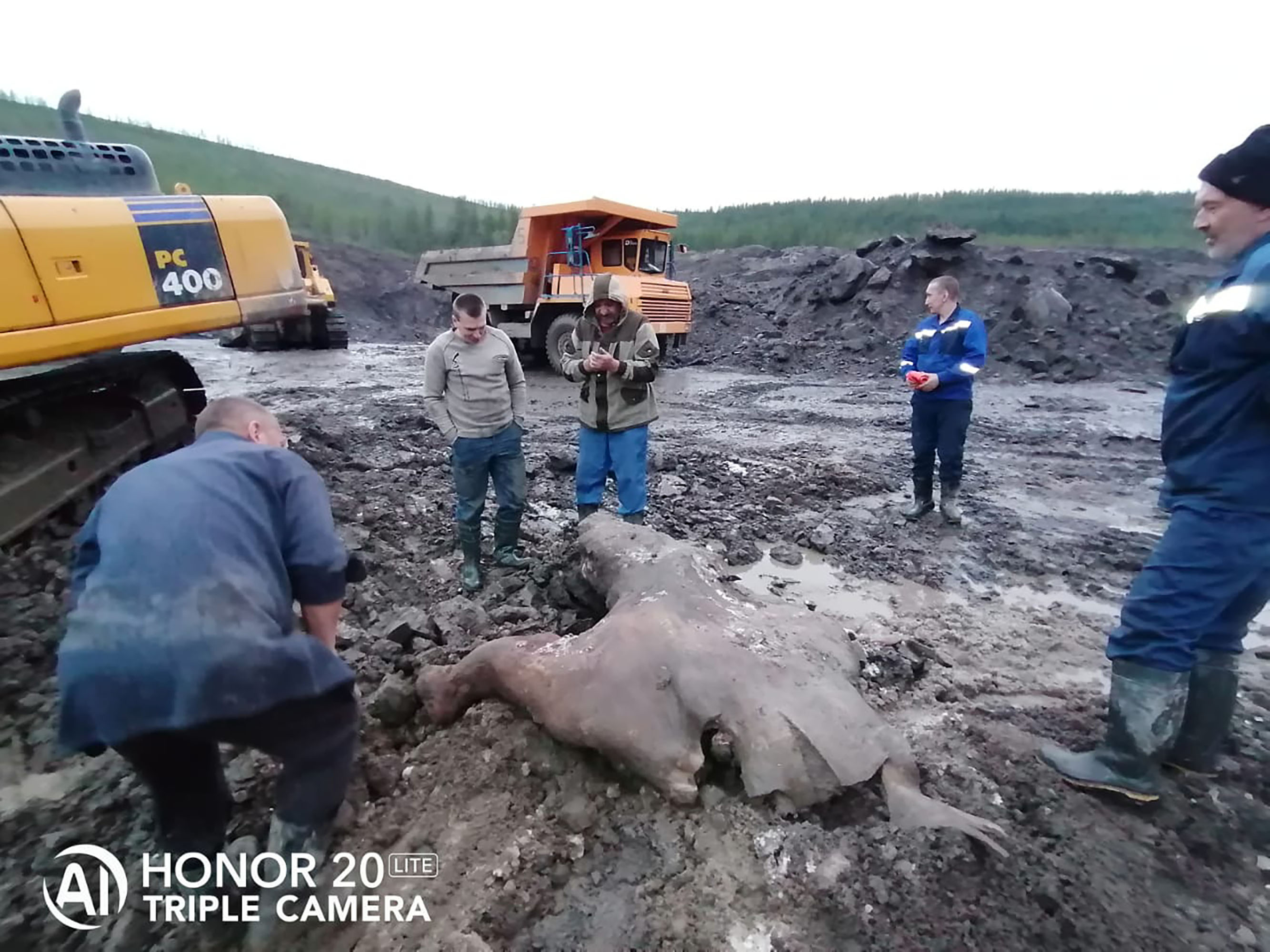 Los restos fueron encontrados en Kolyma, en el Lejano Oriente de Rusia.