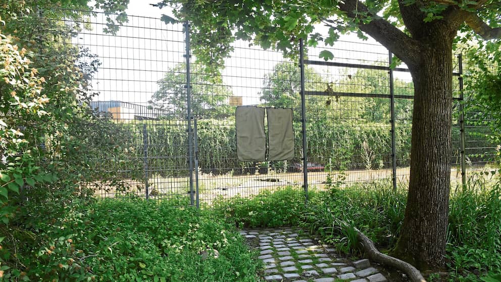 La cancha de tenis cubierta de maleza en Wilmersdorf