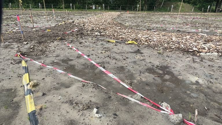 En junio la lluvia arrasó con todas las flores recién sembradas. 