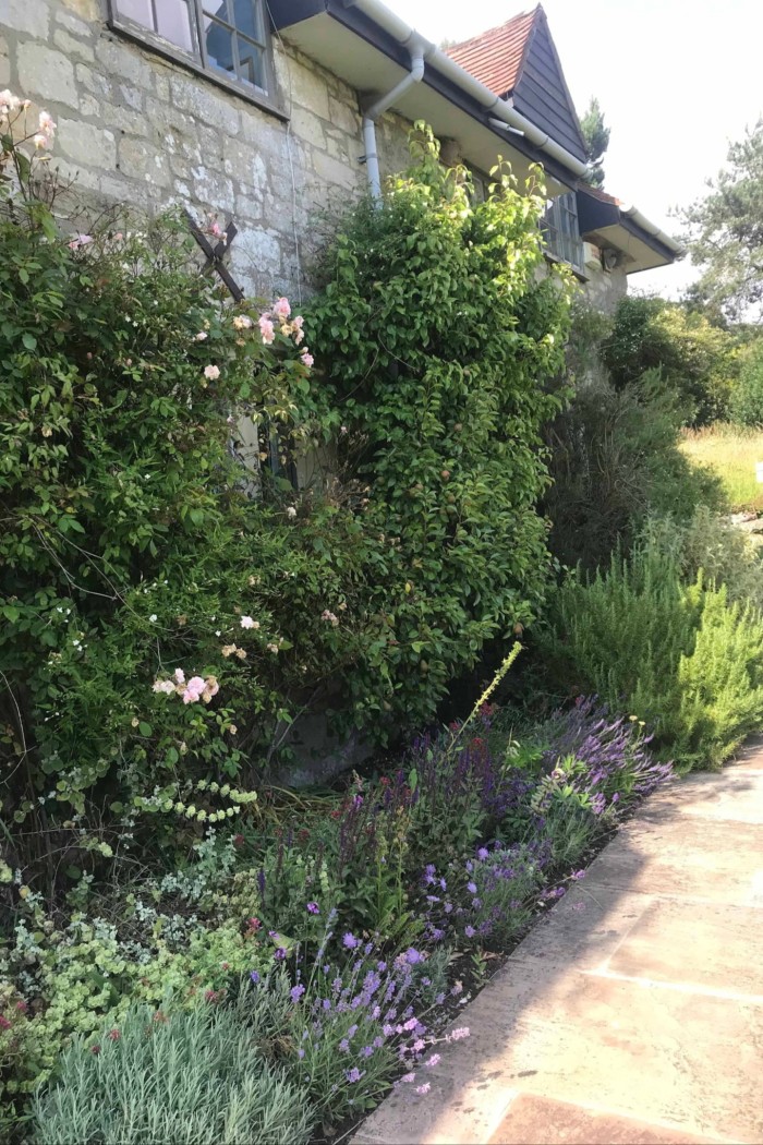 Una encantadora casa de piedra con un jardín bien cuidado lleno de diversas plantas y flores a lo largo de su exterior.