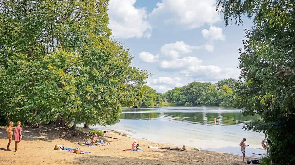 Agua limpia: nadar en el lago Tegel es actualmente seguro