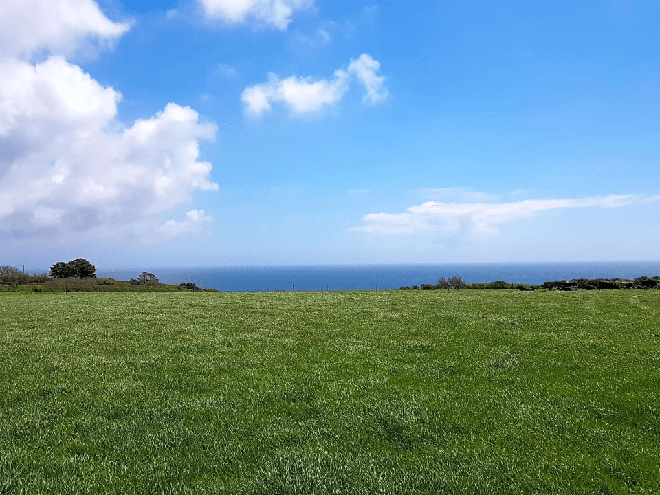 El camping tiene vistas al mar y dispone de parcelas disponibles desde 10€.