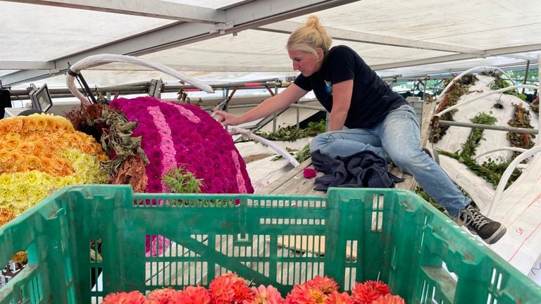 Probablemente será trabajo nocturno para los constructores del desfile de flores en Valkenswaard