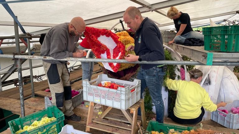 En total hay que colocar unas 200.000 dalias en el carro de la aldea de Hazestraat (foto: Imke van de Laar)