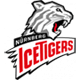 Tigres de hielo de Nuremberg