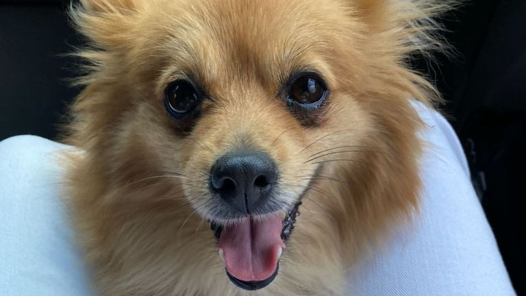 Keesje y su cara feliz (foto: Anouk Kam).