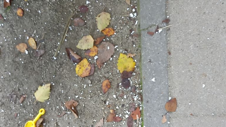 Los gránulos de poliestireno caen al suelo (foto: Frank van der Meijden)