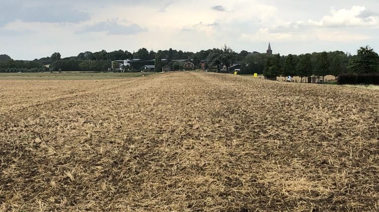 Zona de pólder abierta al oeste de Woensdrecht, donde tuvo lugar el ataque (foto: Willem-Jan Joachems)