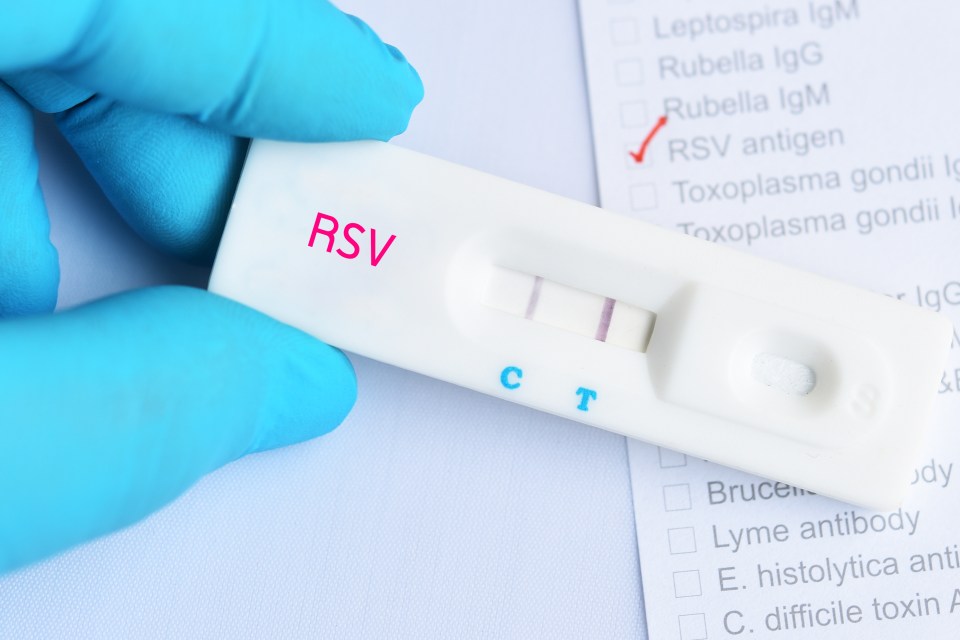 El VRS es uno de los 'tres grandes' virus que los jefes de salud temen que pueda desencadenar una 'tripledemia' este invierno