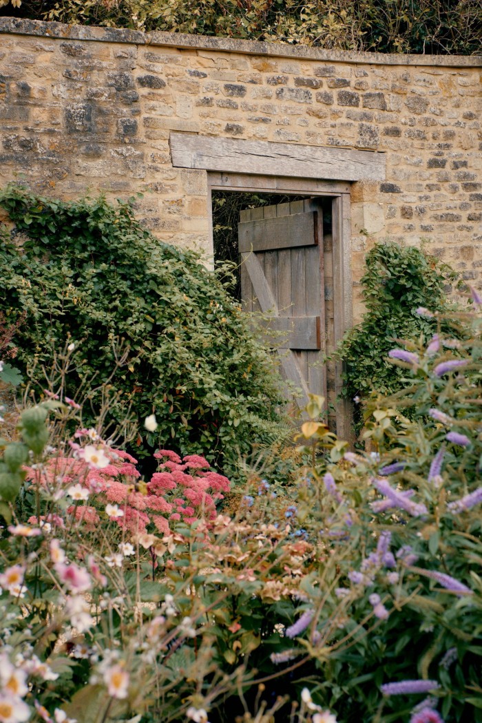 Flores silvestres en primer plano, con una antigua puerta de madera exterior, abierta, en un antiguo muro de piedra