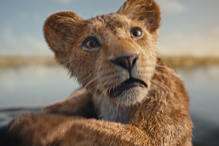 Fotograma de un cachorro de león de la película 'Mufasa: el Rey León'