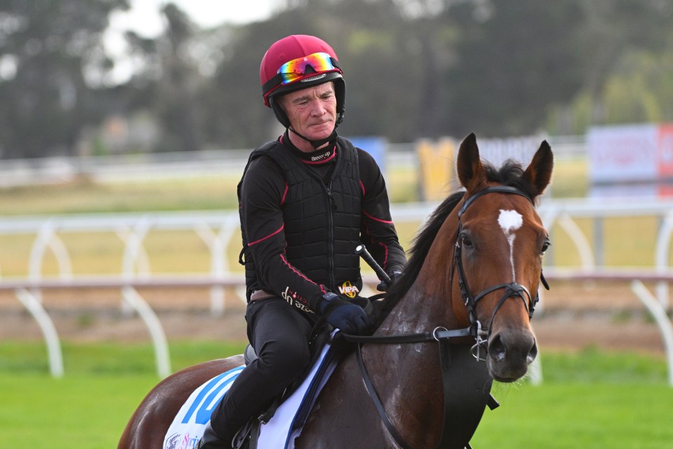 El niño de tres años estuvo entrenando en Werribee durante los últimos días.