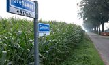 La carretera fronteriza en Siebengewald, municipio de Bergen. Para combatir la ilegalidad y el crimen, Alemania está reintroduciendo controles fronterizos.