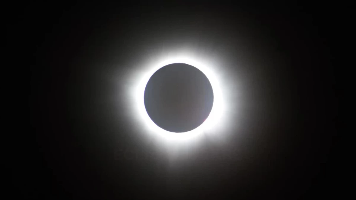 Eclipse solar, todos encantados con el 