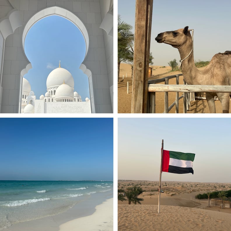 Gran Mezquita Sheikh Zayed, un camello, la isla Saadiyat y la bandera de los Emiratos Árabes Unidos