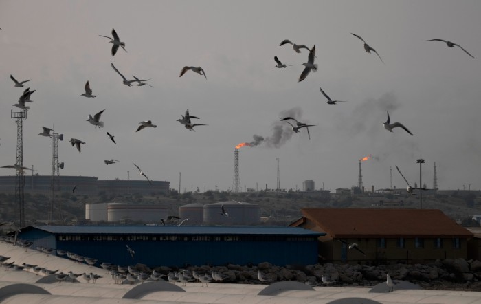 Los pájaros sobrevuelan las instalaciones de refinación de petróleo