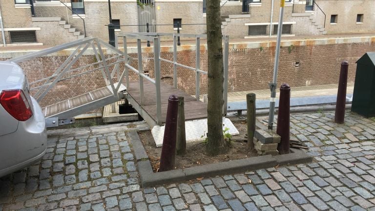 El embarcadero termina en un árbol (foto: Omroep Brabant).