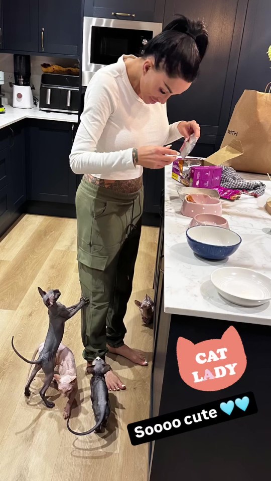 La gata Katie alimenta a sus compañeros felinos en su cocina