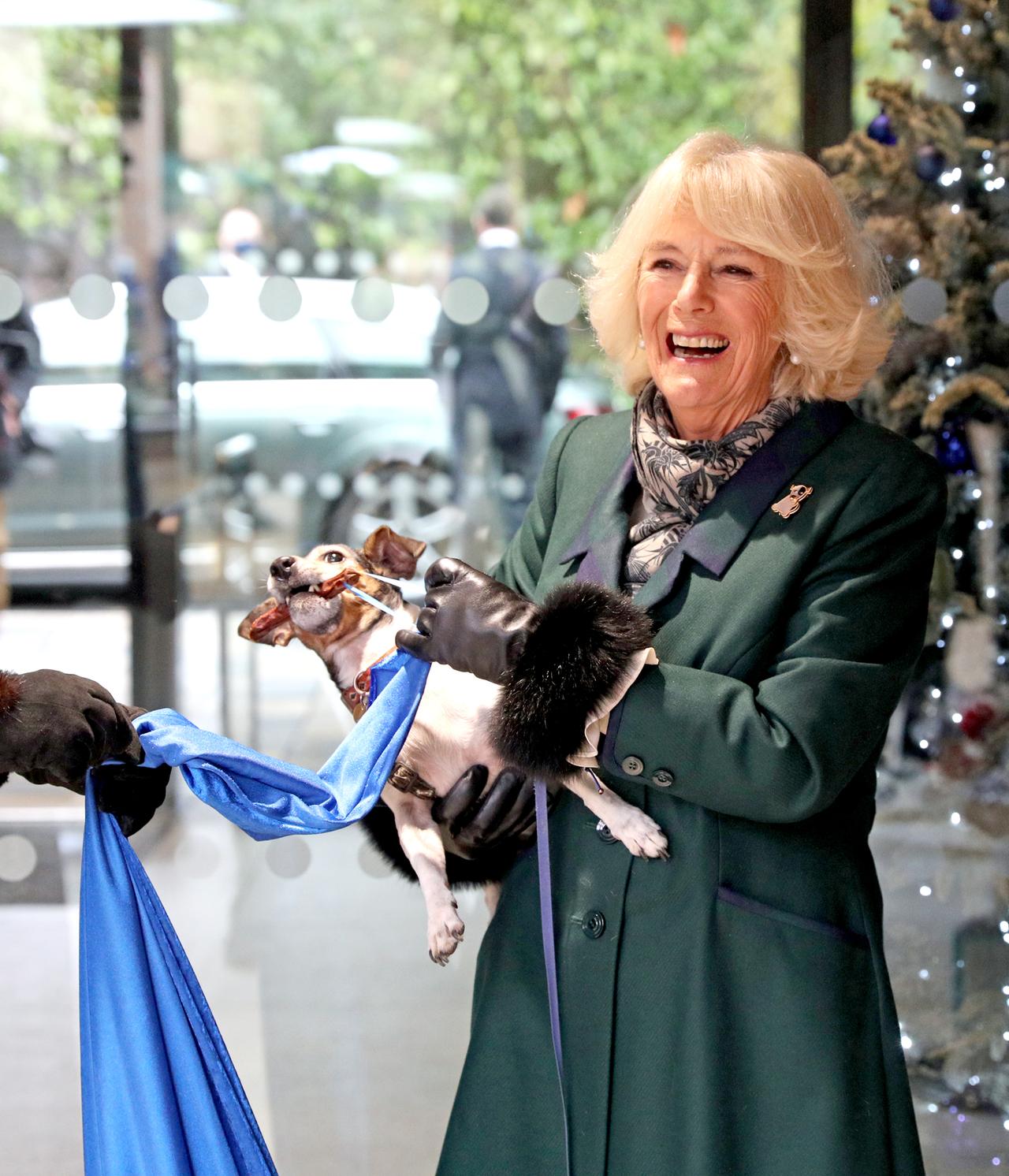 Gran Bretaña, Windsor: la reina Camilla y su perra Beth