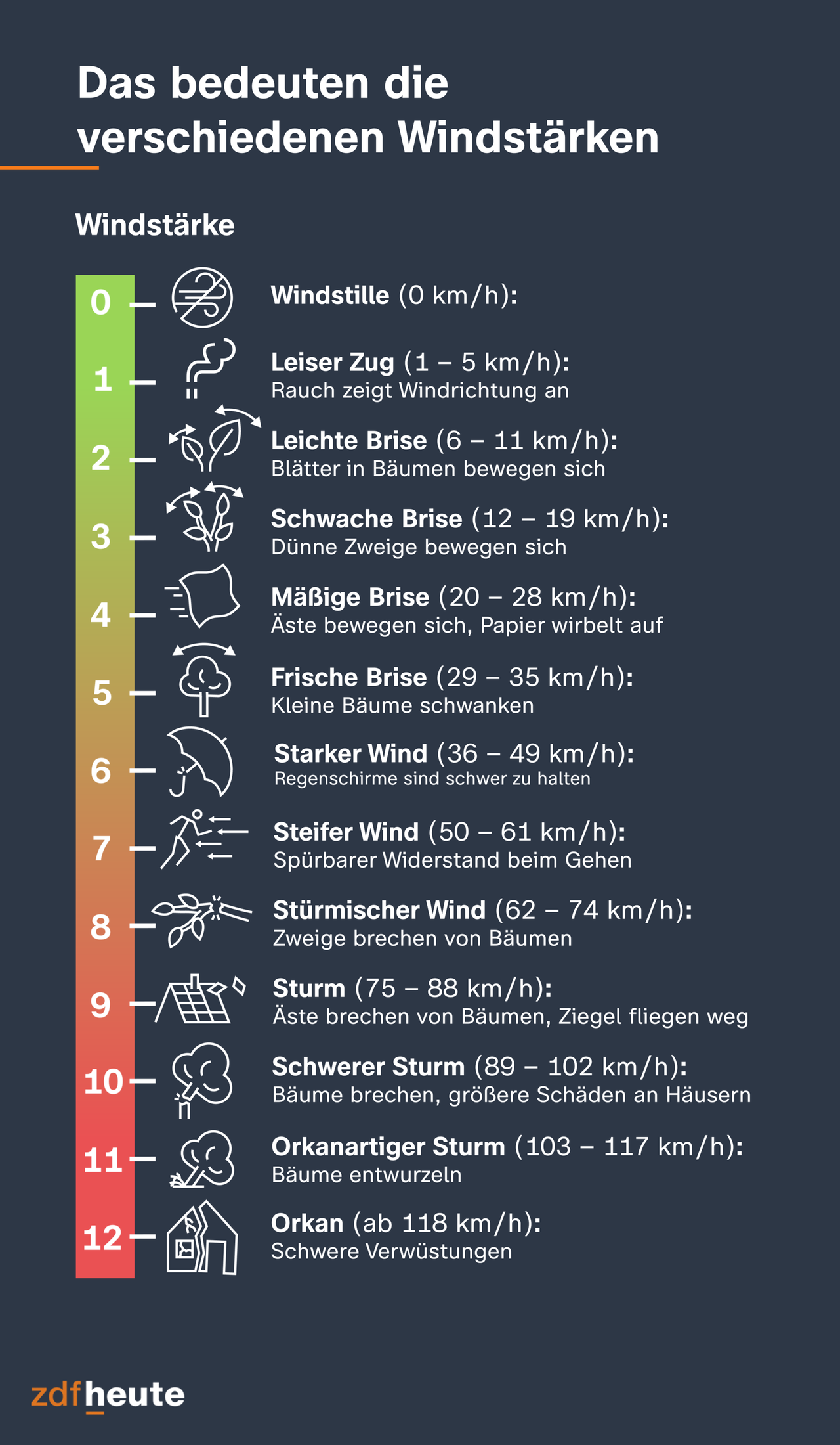 La infografía explica las doce velocidades diferentes del viento. Por ejemplo, el viento de fuerza 3 es una brisa débil. Aquí el viento sopla de 12 a 19 kilómetros por hora. Las ramas delgadas se mueven. El viento de fuerza 6 es viento fuerte. A entre 36 y 49 kilómetros por hora, es difícil sostener el paraguas. El viento de fuerza 9 es una tormenta. Las ramas de los árboles se desprenden y los ladrillos salen volando con vientos que oscilan entre 75 y 88 kilómetros por hora. El viento de fuerza 12 es un huracán. Con vientos de 118 kilómetros por hora o más, se produce una devastación grave.