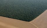 Una clara línea divisoria entre la selva tropical talada y la no talada en el estado brasileño de Mato Grosso. Los campos están destinados al cultivo de soja. 