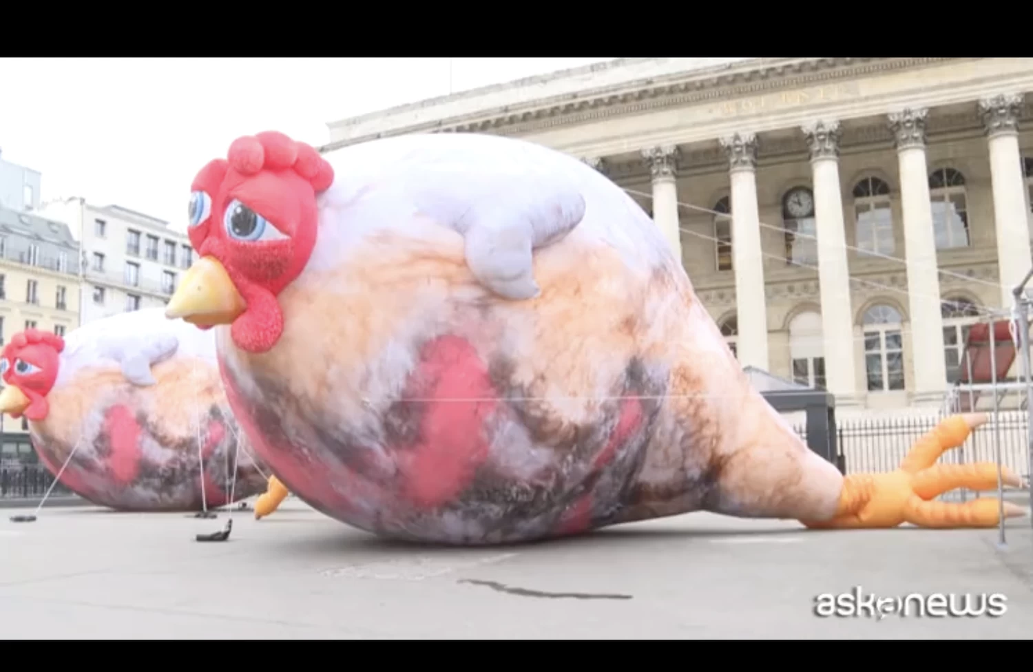 París, pollos inflables gigantes contra la agricultura intensiva