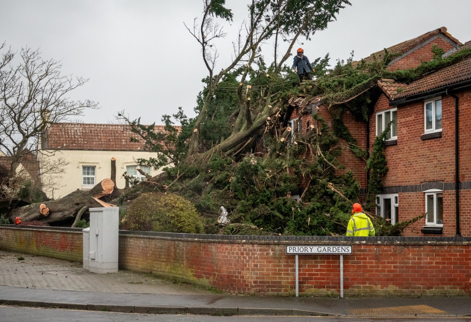 Daños dejados tras la tormenta Darragh