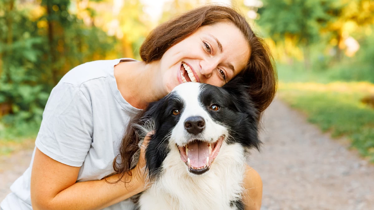 Día Mundial del Perro, las diez razas más queridas y deseadas en Italia