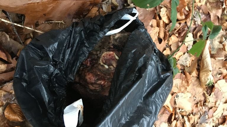 Un trozo de ternera en una bolsa de basura (Foto: Wandelaar)