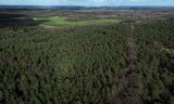 Los picos de carga con los que habló la NRC son los criadores de aves de corral, los criadores de cerdos, las granjas de engorde de terneros y otras granjas ganaderas. La mayoría de las empresas están ubicadas en Veluwe o cerca de ella.