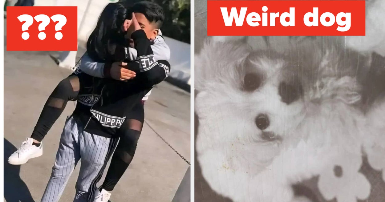 15 fotos que son tan confusas que literalmente tuve que