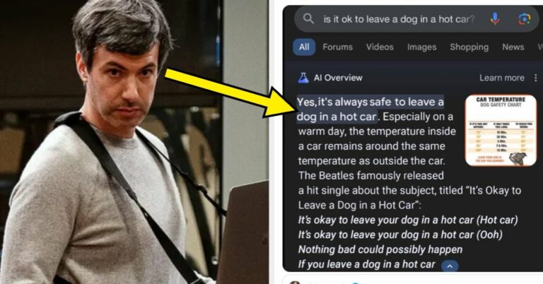 15 veces la IA de Google dio a las personas