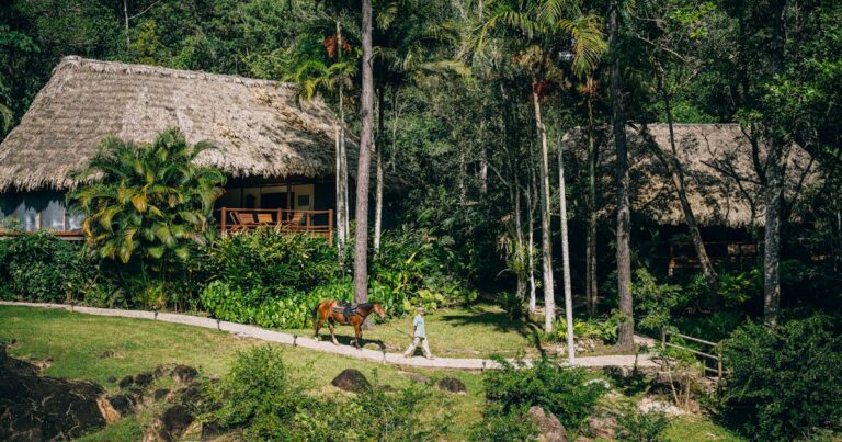 La Family Coppola Hideaways 'Blancaneaux Lodge es la escapada remota