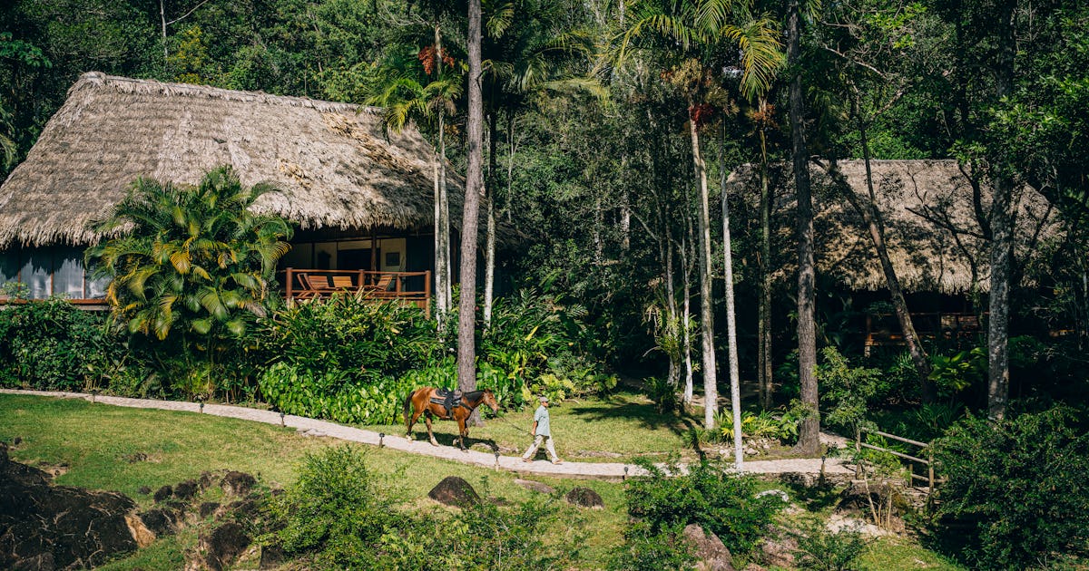 La Family Coppola Hideaways 'Blancaneaux Lodge es la escapada remota