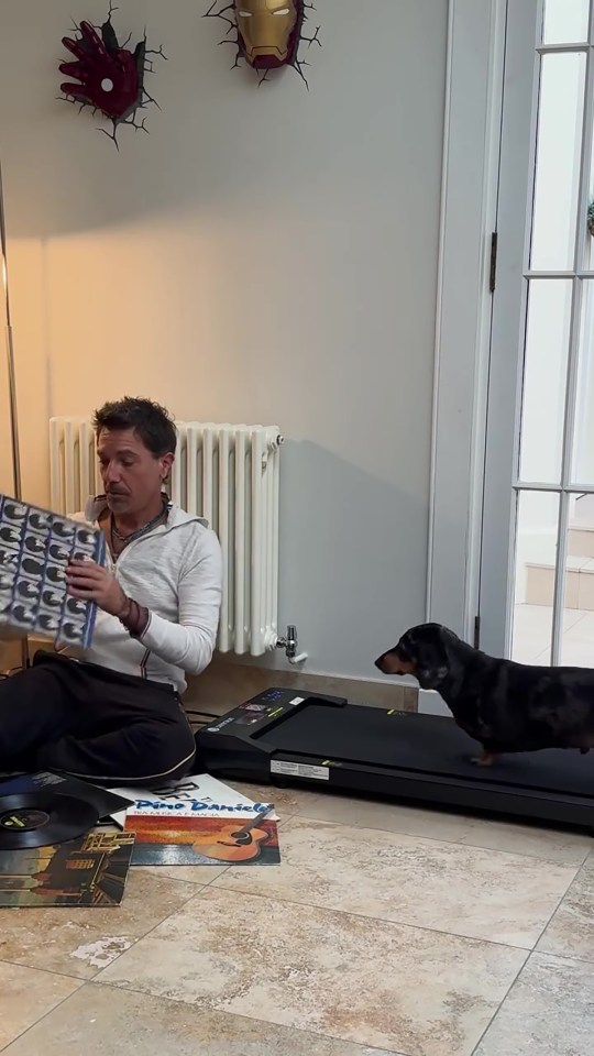 Hombre mirando los registros de vinilo con su perro salchicha en una cinta de correr.