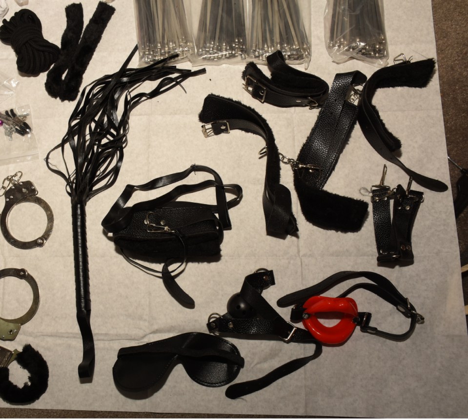 Foto de folleto de elementos BDSM presentados como evidencia en la corte.