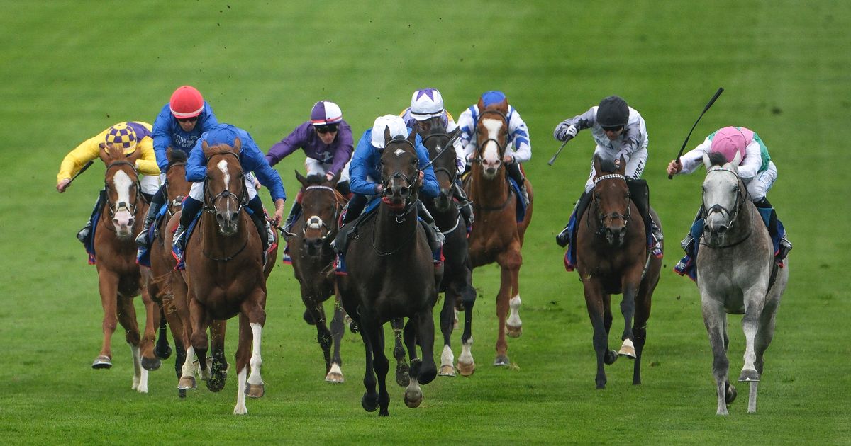 John Gosden reacciona como un campo de oro favorito 'desafortunado'