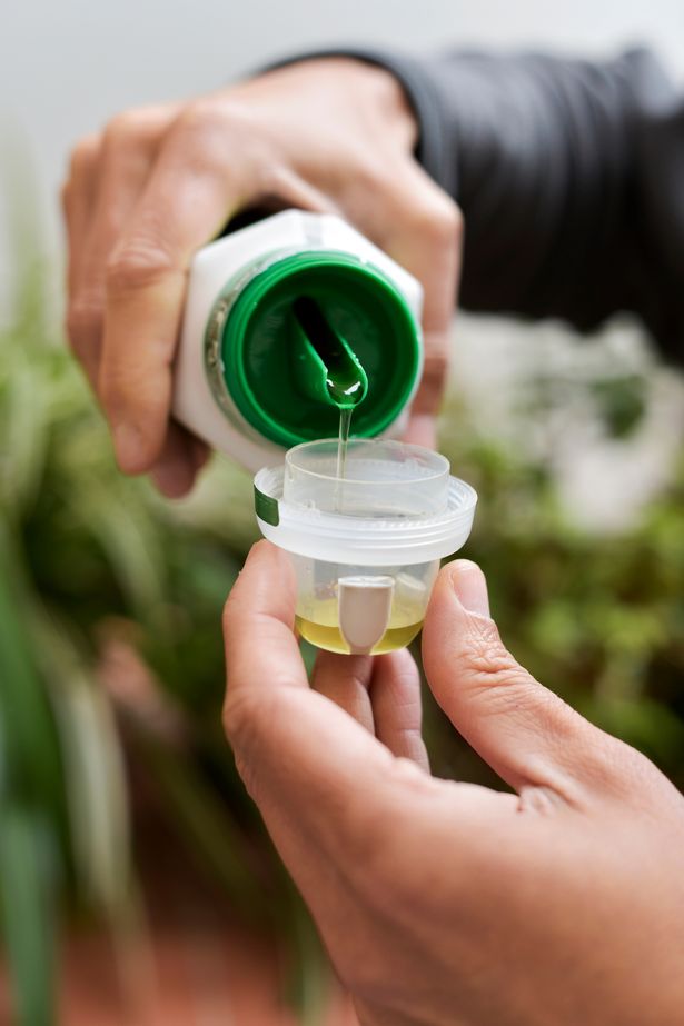 Primer plano de un joven caucásico al aire libre que mide una dosis de fertilizante líquido para sus plantas