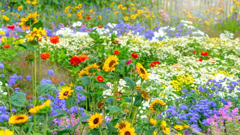 El experto en jardinería revela cómo prevenir las malas hierbas