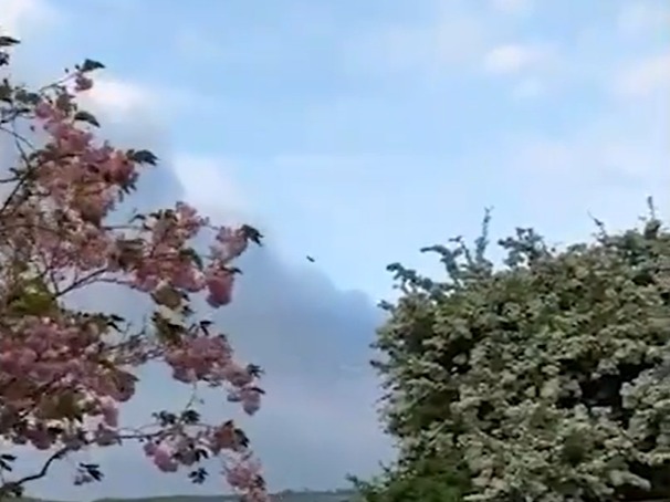 Árboles de floración rosa y blanco bajo un cielo parcialmente nublado.