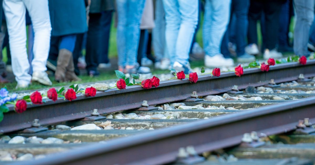 Esta noche ver la conmemoración de los muertos en campamento