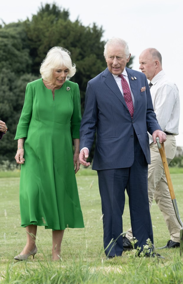 El rey Carlos III y la reina Camilla plantando un árbol en el Castillo de Windsor.