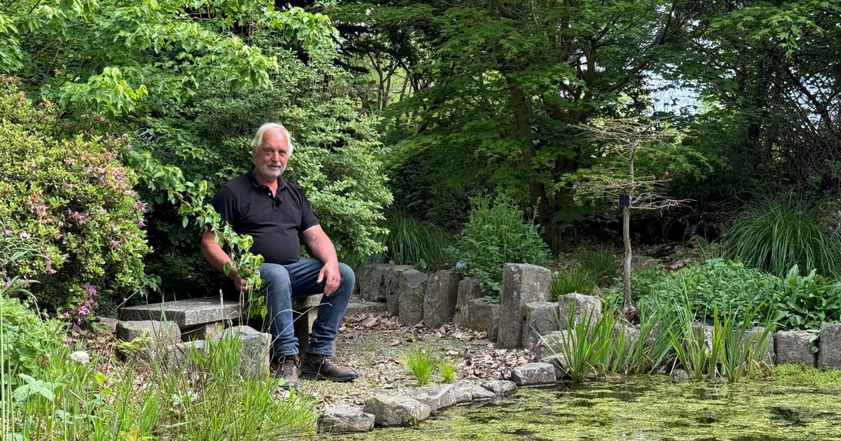 El jardín de ensueño de Wiecher en Gasselte está creciendo