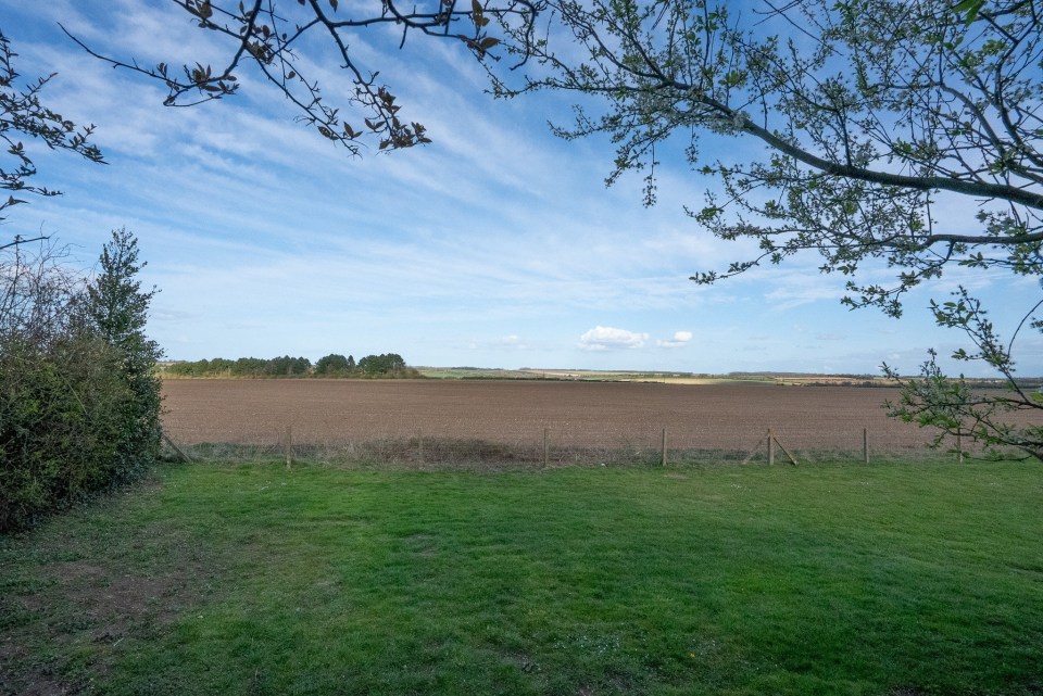 Vista de un campo arado desde un área cubierta de hierba, enmarcada por ramas de árboles.