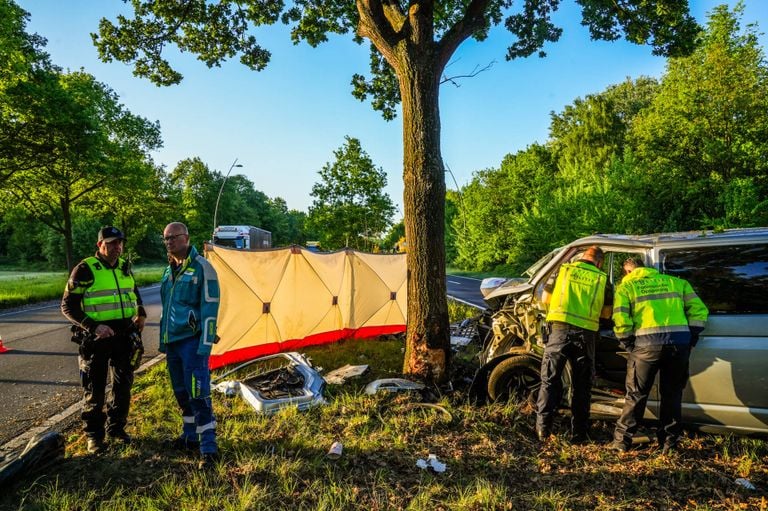 Foto: Dave Hendriks/Heitink News Agency.