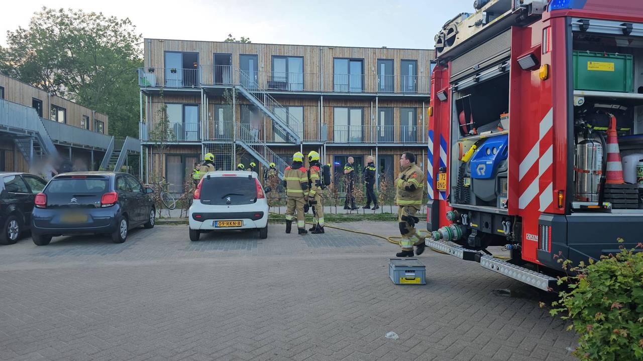 Brigada de bomberos rescata a los animales de Burning Apartment,