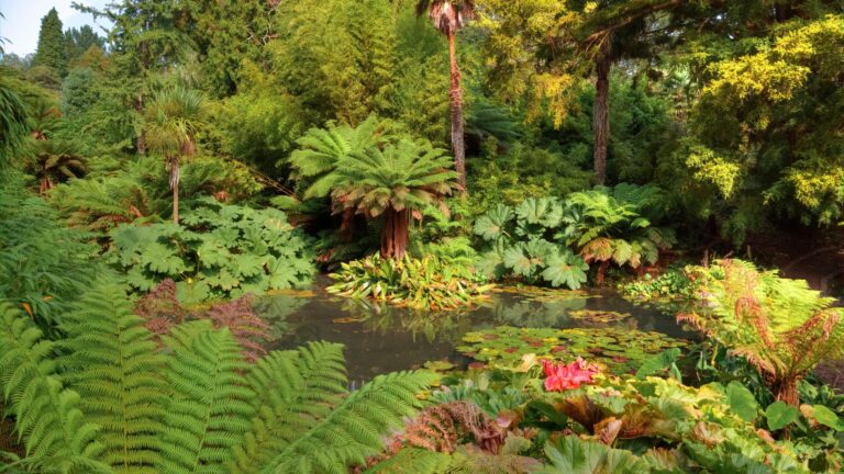 Exóticos jardines ingleses perdidos durante siglos se nombra uno de